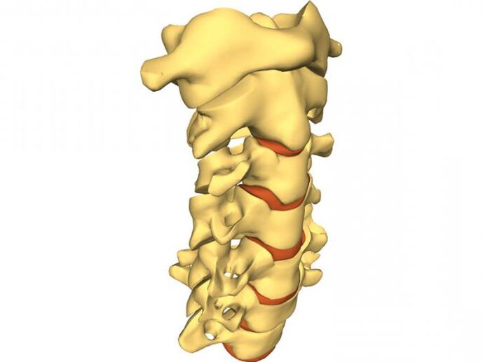 hrbtenica je nagnjena k osteohondrozi